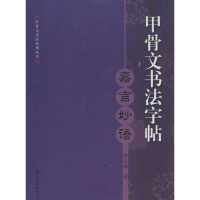 音像甲骨文书法字帖韩志强 著