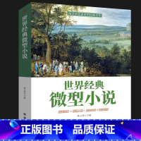 [正版]世界经典微型小说 一百多位的短篇佳作品读感悟人生短片故事集全集作品集鉴赏辞典青少年中小学生课外读物