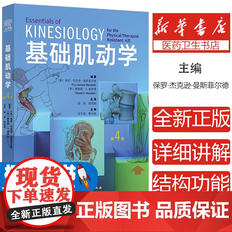 [新华正版]基础肌动学第四版物理治疗师的肌肉骨骼功能解剖学基础保罗杰克逊曼斯菲尔德肌肉骨骼系统的结构和功能筋膜解剖列车书