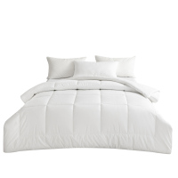 路盈顺 空调被 230*225cm 床