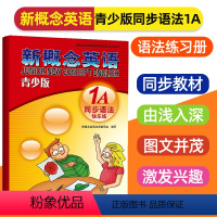 [正版]新概念英语青少版1A同步语法快乐练新概念英语配套语法练习题练习册新概念英语辅导资料书语法讲练测新概念英语课文语