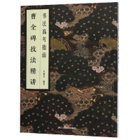 音像曹全碑技法精讲/书法高考指南罗锡清