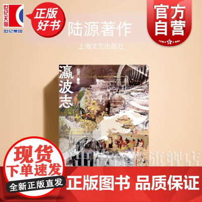 瀛波志 陆源著上海文艺出版社中国现当代文学正版图书籍
