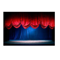 戴阳幕布PT-12(拍前需联系客服)