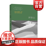 环形山 宁肯文集 当代文坛刺客 长篇小说 黑色幽默悬疑小说 荒诞小说 中国当代文学小说 上海文艺出版代