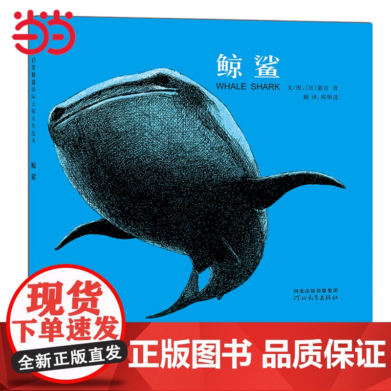 鲸鲨——翻开《鲸鲨》,你会感受到那巨大却温柔、和善的鱼儿!