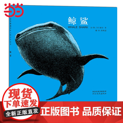鲸鲨——翻开《鲸鲨》,你会感受到那巨大却温柔、和善的鱼儿!
