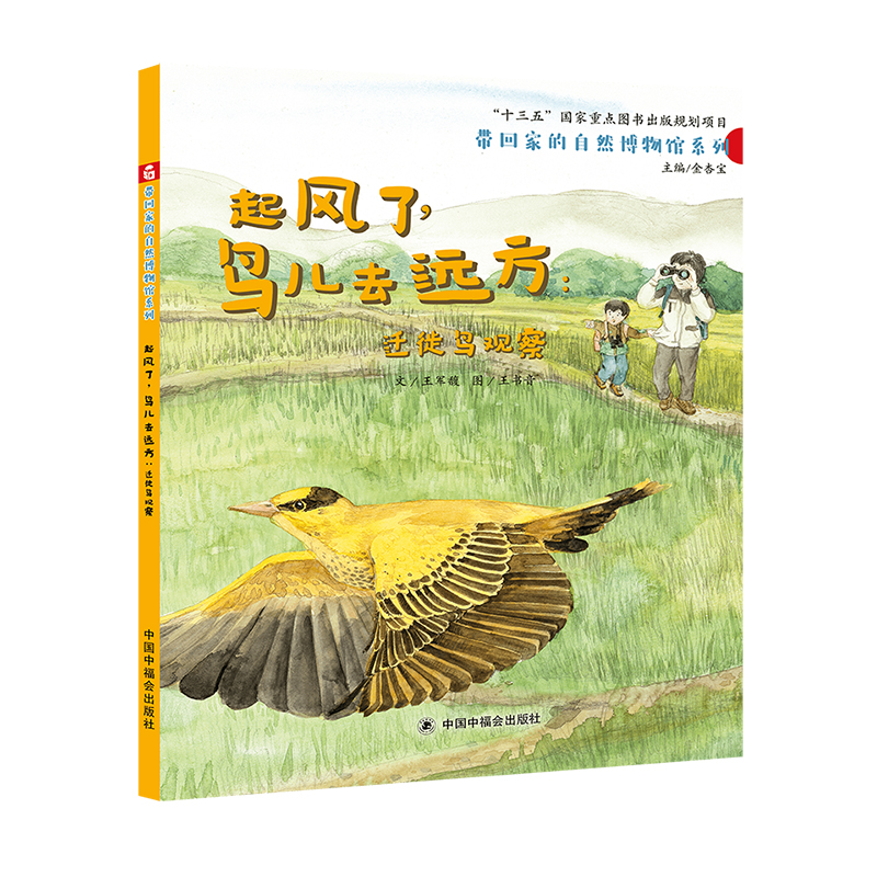 音像起风了,鸟儿去远方:迁徙鸟观察王军馥