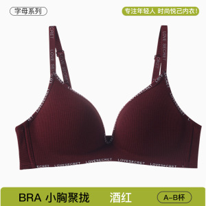 字母杯上托防下垂小胸显大聚拢内衣女士无痕文胸蜜桃胸调整型胸罩