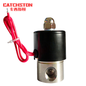 卡西斯顿 不锈钢电磁阀 AC220V 个