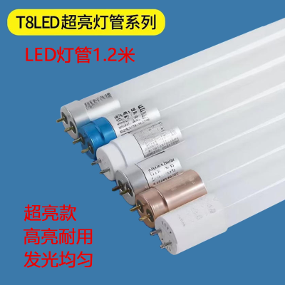 T8LED灯管1.2米长条灯光管节能超亮护眼 单位/根