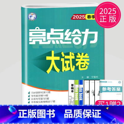 [正版]2025新版亮点给力大试卷九年级下册化学九下人教版RJ江苏初三下学期初中9年级苏教单元检测期末考试卷同步训练全程