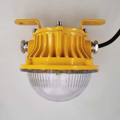 昂力电气LED防爆灯仓库免维护节能泛光照明灯30W/220V(黄色外壳)