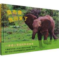 音像桑布鲁,我回来了孙霄