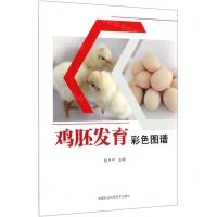 [N]鸡胚发育彩色图谱-9787511646095