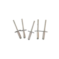 益莘 抽芯铆钉 M5*25mm 个