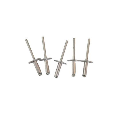 益莘 抽芯铆钉 M5*25mm 个