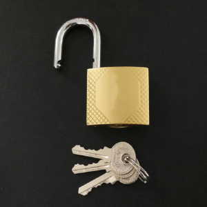 晨潞电子 CLU-S16 20mm 挂锁 (计价单位:个) 黄铜色