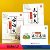 初中文言文卡+实词虚词卡+古诗词卡 初中通用 [正版]初中语文七八九年级古诗文文言文实词虚词大全手卡记忆卡片