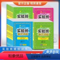 [3本套装]语数英-江苏专用 三年级下 [正版]2024春江苏实验班提优训练二年级下册三年级语文人教版RJ数学苏教版SJ