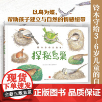 探秘鸟巢(儿童科普 探秘35种鸟类巢穴,开启自然科学启蒙之旅)天地社