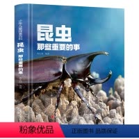 昆虫那些重要的事 [正版]少年儿童探索百科全书系列全9册 4-8-10岁高清彩图版精装大开本硬壳 科学太空宇宙动物海洋地