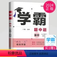[正版]2024学霸题中题八年级下册数学苏科版苏教版江苏初二下学期初中数学8年级下课堂作业辅导书课时提优必刷题基础练习
