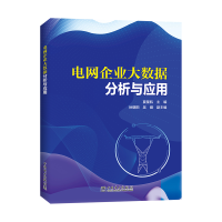 音像电网企业大数据分析与应用夏星航,徐朝阳,吴健