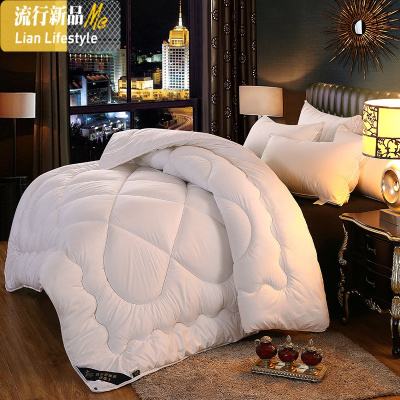 被子冬被春秋被芯加厚保暖棉被褥学生单人双人空调被夏凉被丝绵被 三维工匠