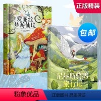 [正版]精装丨爱丽丝梦游仙境+尼尔斯骑鹅旅行记(套装2册)儿童文学中小学生经典名著阅读10-12-14岁孩子爱看的外国