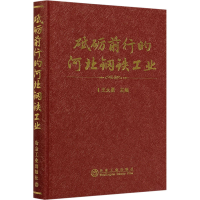 音像砥砺前行的河北钢铁工业王大勇