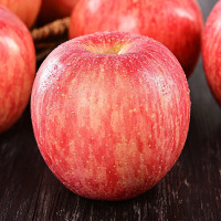 鲜贝达 洛川红富士苹果[礼盒装][12枚]7斤左右 [单果85-90mm]
