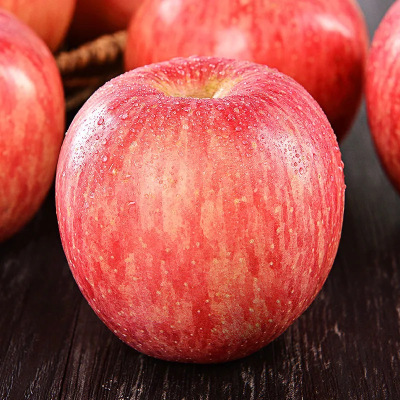 鲜贝达 洛川红富士苹果[礼盒装][12枚]7斤左右 [单果85-90mm]