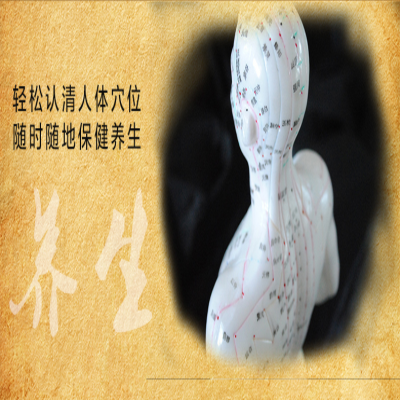 [M]人体经络穴位标准大图册-9787501997886