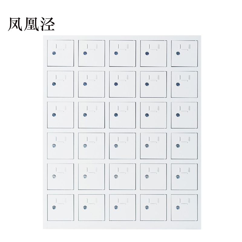 凤凰泾手机存放柜30门