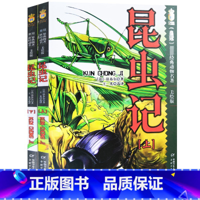 昆虫记美绘版2册 [正版]全2册 昆虫记美绘版三年级课外阅读书四年级书上下册合集小学版昆虫记法布尔原版全集彩绘版昆虫记