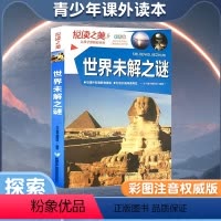 悦读之美-世界未解之谜 [正版]少年探索发现系列少儿科普书籍 你不可不知的兵器之谜 中国世界未解之谜大全集 中小学生科普