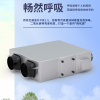 中频 ZP-XP01S 90W 50db 新风(计价单位:台)白色