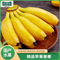 [苏鲜生]国产苹果香蕉 净重9斤装 美人蕉 孕妇水果宝宝辅食 新鲜当季苹果香蕉 国产热带水果