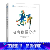 [正版]新电商数据分析 电商应用大全数据分析店铺运营客户数据分析财务