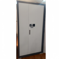 首指(SZ)保密柜/BG-089