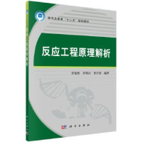 音像反应工程原理解析罗康碧,罗明河,李沪萍