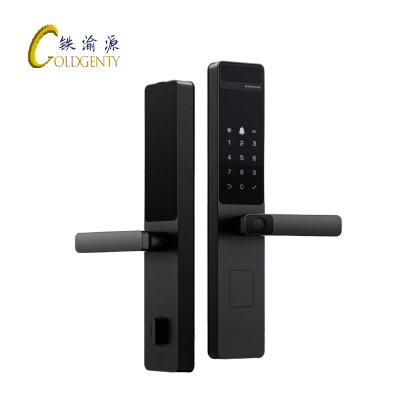 铁渝源 物联网智能门锁 GT-S2-W/把