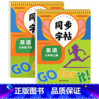 [7年级上册+下册]英语同步字帖 初中通用 [正版]七八年级英语同步练字帖上下册人教版意大利斜体字帖