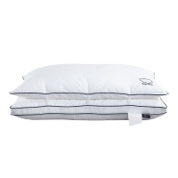 伊伊爱 羽丝绒双胎枕芯单人枕芯白色