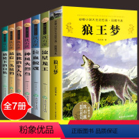 [正版]沈石溪动物小说全集系列全套7册 经典小学生三 四 五 六 年级课外书必读狼王梦 12-15岁书籍品藏阅读书系