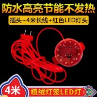 苏宁放心购 灯笼专用红色LDE灯泡 灯笼伴侣 LED灯笼内置防水电线电灯红色灯线 灯笼灯泡专用配 LED灯4米长