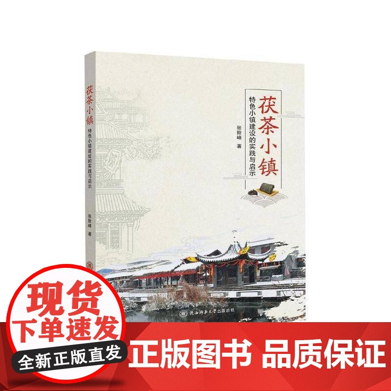 茯茶小镇:小镇建设的实践与启示张险峰 小城镇城市建设研究泾阳县经济书籍