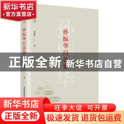 正版 孙振华自选集 孙振华著 北岳文艺出版社 9787537853989 书籍