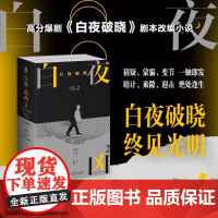 白夜追凶2 白夜破晓 上下 指纹著 悬疑推理烧脑小说